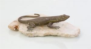 ANONYMOUS,LIZARD ON SPECIMEN BASE,Stair Galleries US 2018-03-24