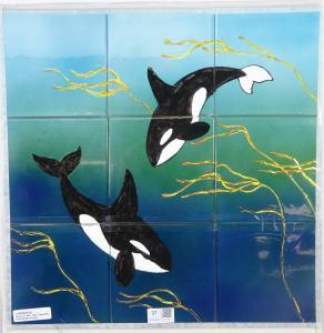 ANONYMOUS,Orca Whales in Kelp,David Duggleby Limited GB 2017-10-07