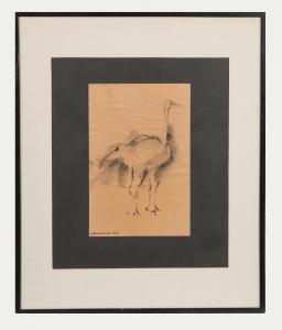 ANONYMOUS,Ostrich,1960,Cottone US 2017-12-07
