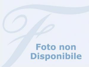 ANONYMOUS,Paesaggio,Finarte IT 2008-12-02