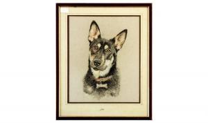 ANONYMOUS,Picture of a German Shepherd,Gerrards GB 2011-04-14