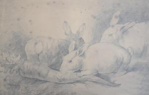 ANONYMOUS,Sketch of rabbits,David Lay GB 2019-01-31