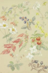 ANONYMOUS,Study of summer fruits and flowers,Golding Young & Mawer GB 2017-05-03