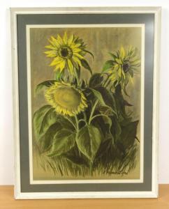 ANONYMOUS,sunflowers,Eastbourne GB 2016-01-09