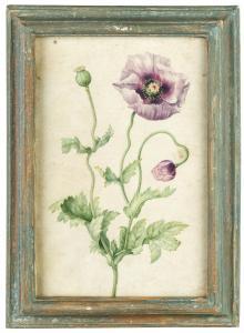 ANONYMOUS,Tavole botaniche,Wannenes Art Auctions IT 2017-03-08