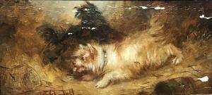 ANONYMOUS,Terriers playing,19th century,Criterion GB 2018-09-17