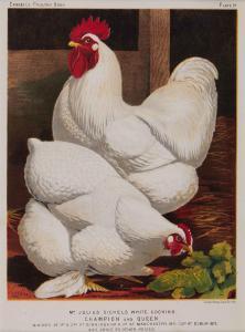 ANONYMOUS,The Illustrated Book of Poultry,Dreweatts GB 2017-07-27