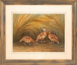 ANONYMOUS,Three quail,Eldred's US 2015-02-28