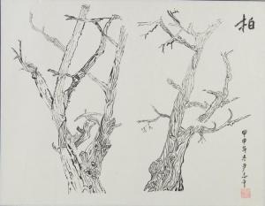 ANONYMOUS,Tree trunks,888auctions CA 2014-03-13