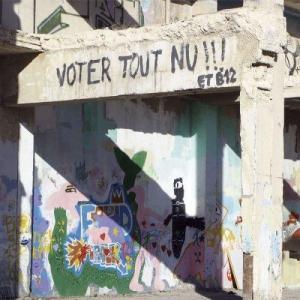 ANONYMOUS,Voter tout nu !!!,2010,Damien Leclere FR 2010-12-11