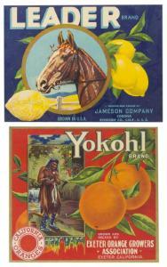 ANONYMOUS,Yokohl Brand Orange and Leader Brand Lemon; two works,John Moran Auctioneers US 2019-06-23