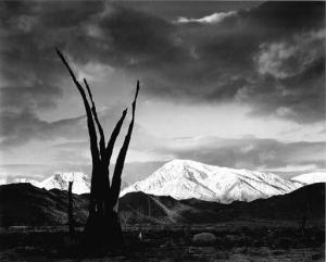 Ansel Adams 1902-1984,Adams, Ansel,1976,Christie's GB 1999-06-09