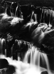 Ansel Adams 1902-1984,Fern Springs, Dusk, Yosemite National Park, Califo,Christie's GB 2001-10-05
