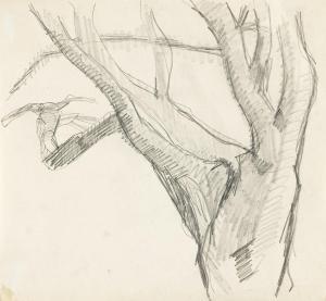 ANSHUTZ Thomas Pollock 1851-1912,Tree Study,1915,Swann Galleries US 2023-09-21