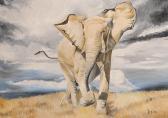 ANTON Alina,Study of an Elephant,Morgan O'Driscoll IE 2013-01-28