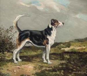 APPLEYARD Joseph 1908-1960,A fox hound,Christie's GB 2011-03-22