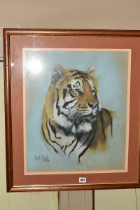 APPS Paul 1958,a study of a tiger,1989,Richard Winterton GB 2020-07-06