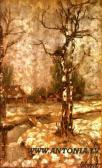 APSITIS Aleksander Petrovich 1880-1944,The birch tree in winter,1926,Antonija LV 2008-03-03