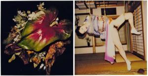 ARAKI Nobuyoshi 1940,Nu-Fleur Ensemble de deux polaroids dans un même ,Pierre Bergé & Associés 2009-12-06