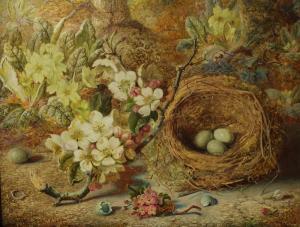 ARCHER Charles,Still Life, Bird's Nest, Eggs and Blossom,Bamfords Auctioneers and Valuers 2022-01-13
