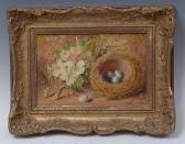 ARCHER Charles 1855-1931,Still Life, Blossom, Nest and Eggs, on a ,Bamfords Auctioneers and Valuers 2017-06-28