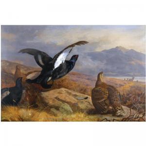 ARCHIBALD W. 1800-1900,BLACK GROUSE IN A HIGHLAND LANDSCAPE WITH RED DEER,1888,Sotheby's 2008-08-26