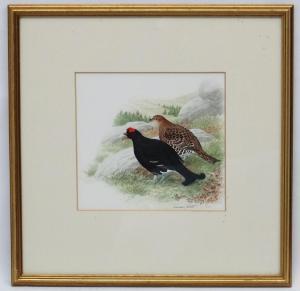 ARLOTT Norman 1947,A brace of Black Grouse Scottish Game Birds,Dickins GB 2019-10-18