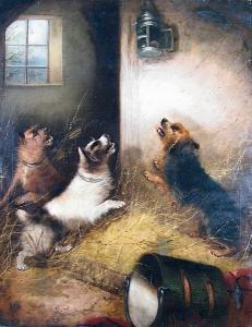 ARMFIELD Edward 1817-1896,terriers ratting in a stable,Bonhams GB 2005-12-11