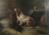 ARMFIELD George 1808-1893,Interior with three dogs,Bernaerts BE 2009-09-21