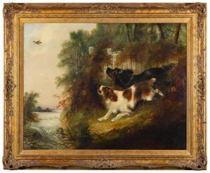 ARMFIELD George 1808-1893,Two dogs flushing a Mallard,Bearnes Hampton & Littlewood GB 2024-01-16