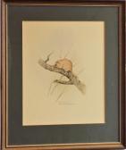 ARMSTRONG Robin 1900-1900,Field Mouse,1977,David Lay GB 2020-05-14