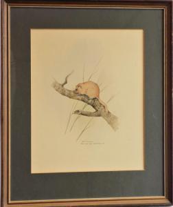 ARMSTRONG Robin 1900-1900,Field Mouse,20th Century,David Lay GB 2020-03-26