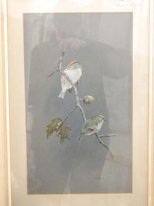 ARMSTRONG Robin 1900-1900,Redpolls,20th century,Rowley Fine Art Auctioneers GB 2020-02-08