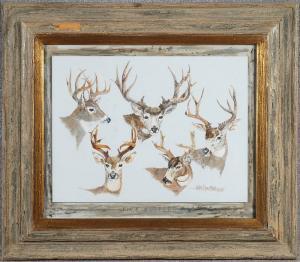 armstrong victor,Five whitetail deer heads in various poses,1988,Ruggiero Associates US 2009-05-07