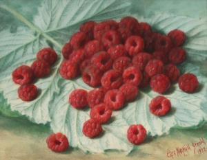 ARNOLD Clara 1879-1959,Raspberries on Cabbage Leaf,1922,Butterscotch Auction Gallery US 2018-03-25