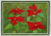 ARNOLD H.R 1900-1900,Poinsettia,Dickins GB 2016-03-04