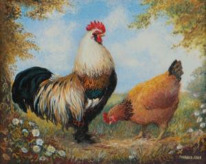 ARNOLD Phyllis,FAVEROLLE COCKEREL,Ross's Auctioneers and values IE 2022-08-17
