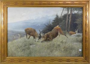 ARNOLD W. 1800-1900,Combat de cerfs,Rops BE 2017-03-05