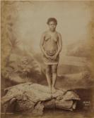 ARNOUX AR,Jeune Abyssine,1880,Shapiro AU 2012-04-03