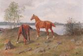 ARSENIUS John 1818-1903,Betande hästar,1896,Uppsala Auction SE 2012-03-26