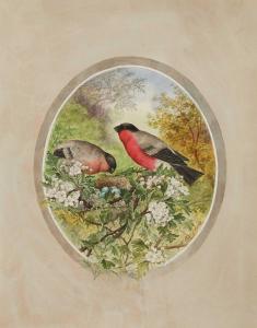 ASHLEY PHILIP,Bullfinches,20th century,Sworders GB 2021-06-02