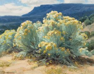 ASPEVIG Clyde 1951,Chamisa,Scottsdale Art Auction US 2024-04-12