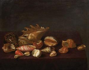 ASSTEYN Bartholomeus 1607-1668,Nature morte de coquillages,Pierre Bergé & Associés FR 2019-10-23