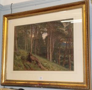 ASTON Charles Reginald 1832-1908,Deer in a verdant woodland,Tennant's GB 2020-03-13