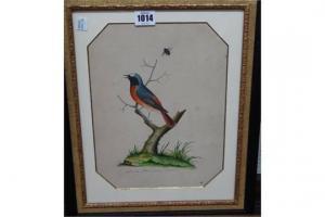 ATKINSON Christopher 1754-1795,A Grey Water Wagtail,Bellmans Fine Art Auctioneers GB 2015-04-22