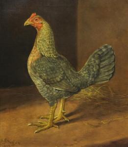 ATKINSON Esmond H 1888-1941,Study of a cockerel,1927,Gorringes GB 2012-10-24