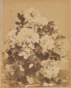 AUBRY Charles Hippolyte 1811-1877,Bouquet de pivoines,1864,Fidesarte IT 2020-09-25