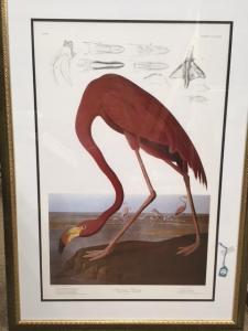 Audubon John James 1785-1851,American Flamingo (Plate CCCCXXX),Weschler's US 2018-03-20