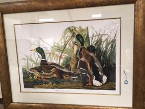 Audubon John James 1785-1851,Mallard Duck (Plate CCXXI),Weschler's US 2018-03-20
