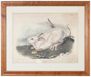 Audubon John James 1785-1851,Northern Hare,Brunk Auctions US 2018-07-14